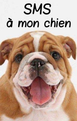 SMS à mon chien