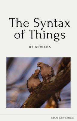 [Snarry/Trans] The Syntax of Things