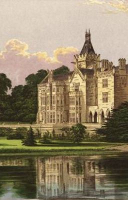 [Snarry] Vụ án mạng trong tòa lâu đài cổ