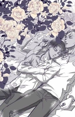 [SnK Ereri] Trăng khói