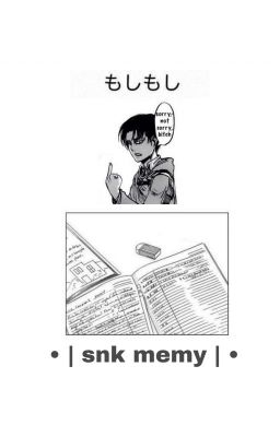 • | snk memy | •