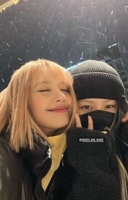 Snowfall |chaelisa|