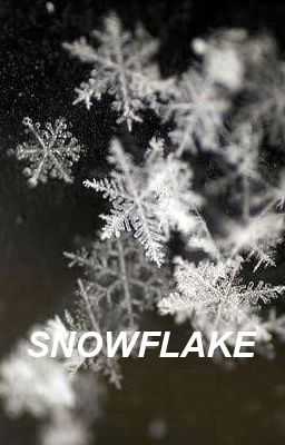 snowflake / njh