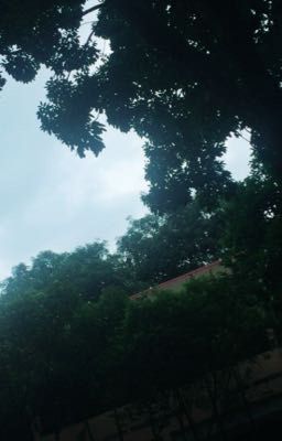 Sợ cô đơn, sợ bị bỏ rơi