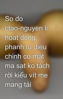 So do ctao-nguyen li hoat dong phanh tu dieu chinh co mặt ma sat ko tách rời kiểu vít me mang tải