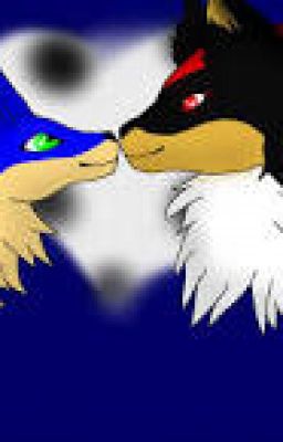 so what (sonadow)