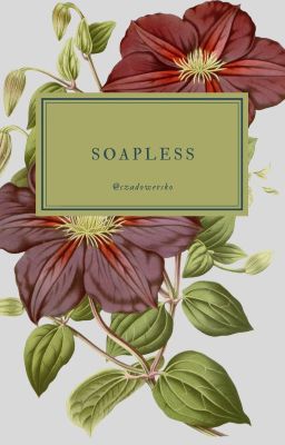 SOAPLESS