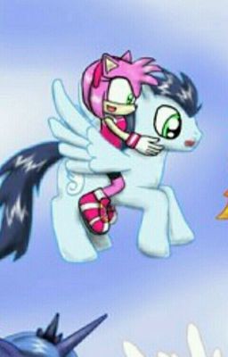 SOARIN X AMY: