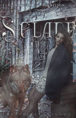 ✓ | SOLACE, Jacob Black