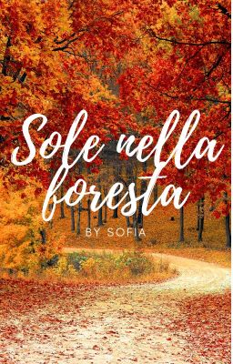 Sole nella foresta