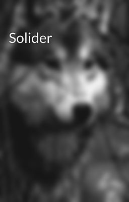 Solider 