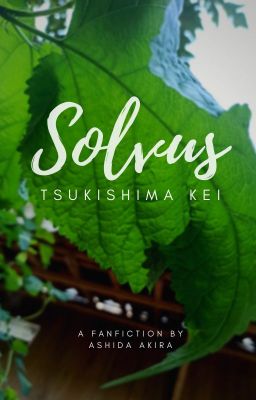 Solvus | Tsukishima Kei