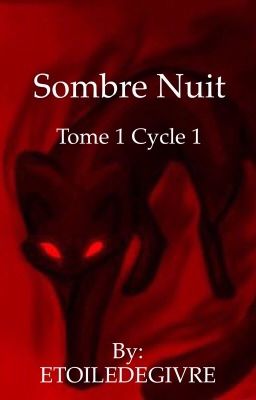 Sombre Nuit (Lgdc ) Tome 1 cycle 1