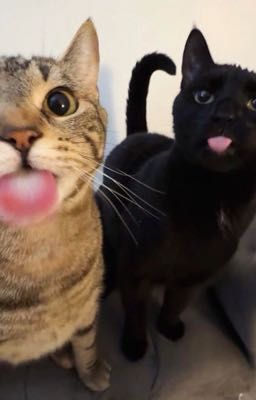 [sơn bình] love instagram