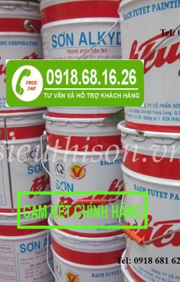 SƠN DẦU BẠCH TUYẾT MÀU TRẮNG THÙNG 16KG GIÁ RẺ NHẤT TPHCM