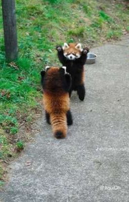 sơn.k × vương bình | đắm.