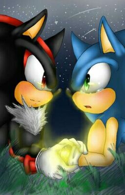 Sonadow amor a primera vista 