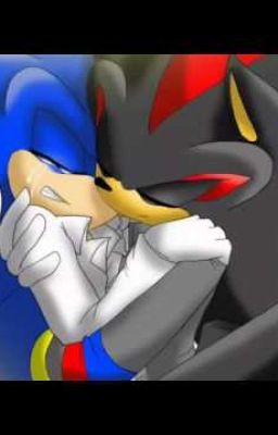 -· Sonadow 