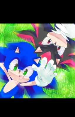 Sonadow story :3 <3