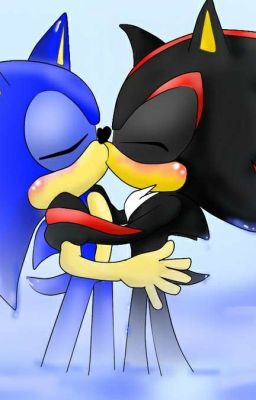 Sonadow Surprise parents