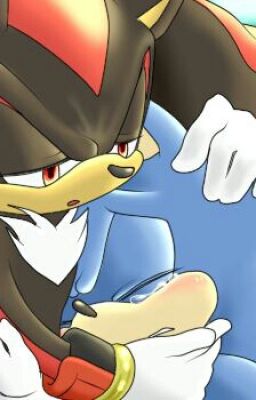 Sonadow the lost prince