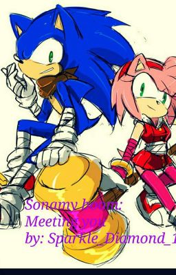 SonAmy boom: Meeting you 