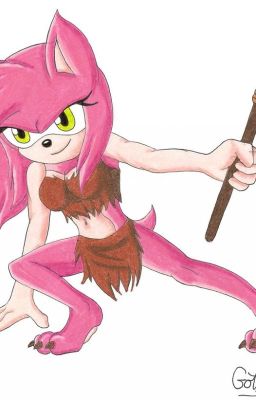 SonAmy: Jungle Pink Hedgehog