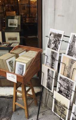 sonbinh ⋆˚࿔ anh bờ vai.