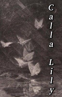 sonbinh | calla lily