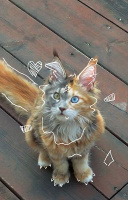 [SơnBình]: Chuột rút.