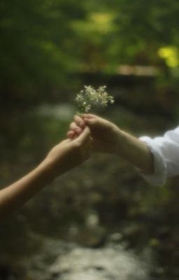 sonbinh - everything 