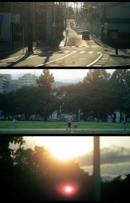 sonbinh ; lời yêu