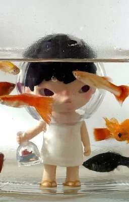 sonbinh | thoả thuận 