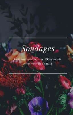 Sondages 