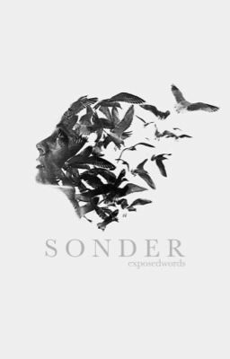 SONDER | d.m