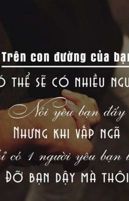  SỐNG GIÓ GIA ĐÌNH 