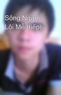 Sông Ngầm - Lôi Mễ (tiếp)