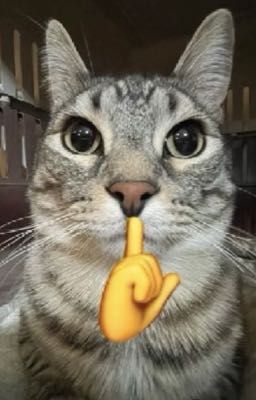 [ song tính]Bị em vợ ngày đêm liếm bướm