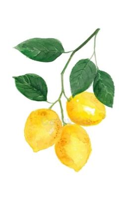 Song tính thô tục/lemonade