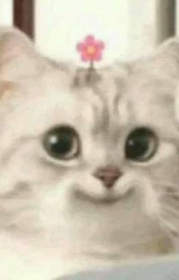 [SONG TÍNH] TUYỂN TẬP CHƠI SONG TÍNH