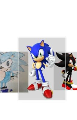 Sonic and shadow