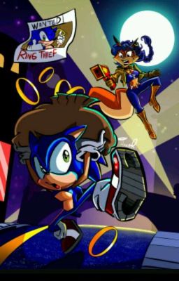 Sonic and Sly Cooper Oc Rp (Private)