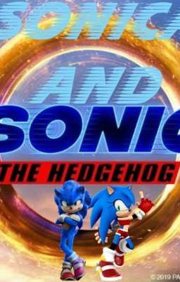 Sonic and Sonica the hedgehog's 