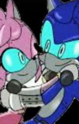 Sonic boom  Sonamy Y Shadaria