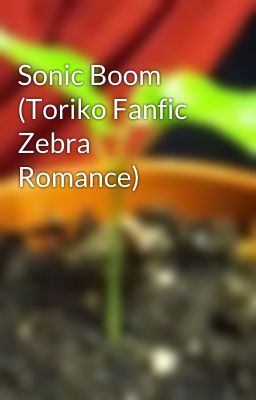 Sonic Boom (Toriko Fanfic Zebra Romance)