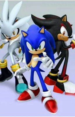 Sonic Boys X Hedgehog Reader Seven Minutes In Heaven