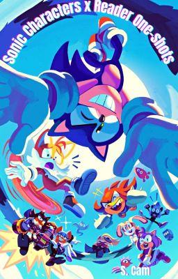 Sonic Characters x Reader One-shots