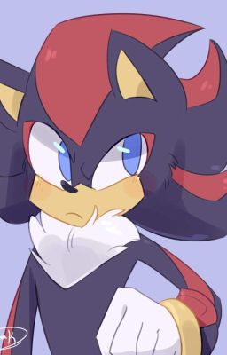 Sonic's Kid