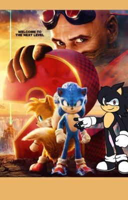 Sonic the Hedgehod 2 (2022) x Male Reader (Story Discontinued)