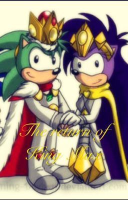 Sonic Underground: The return of King Max